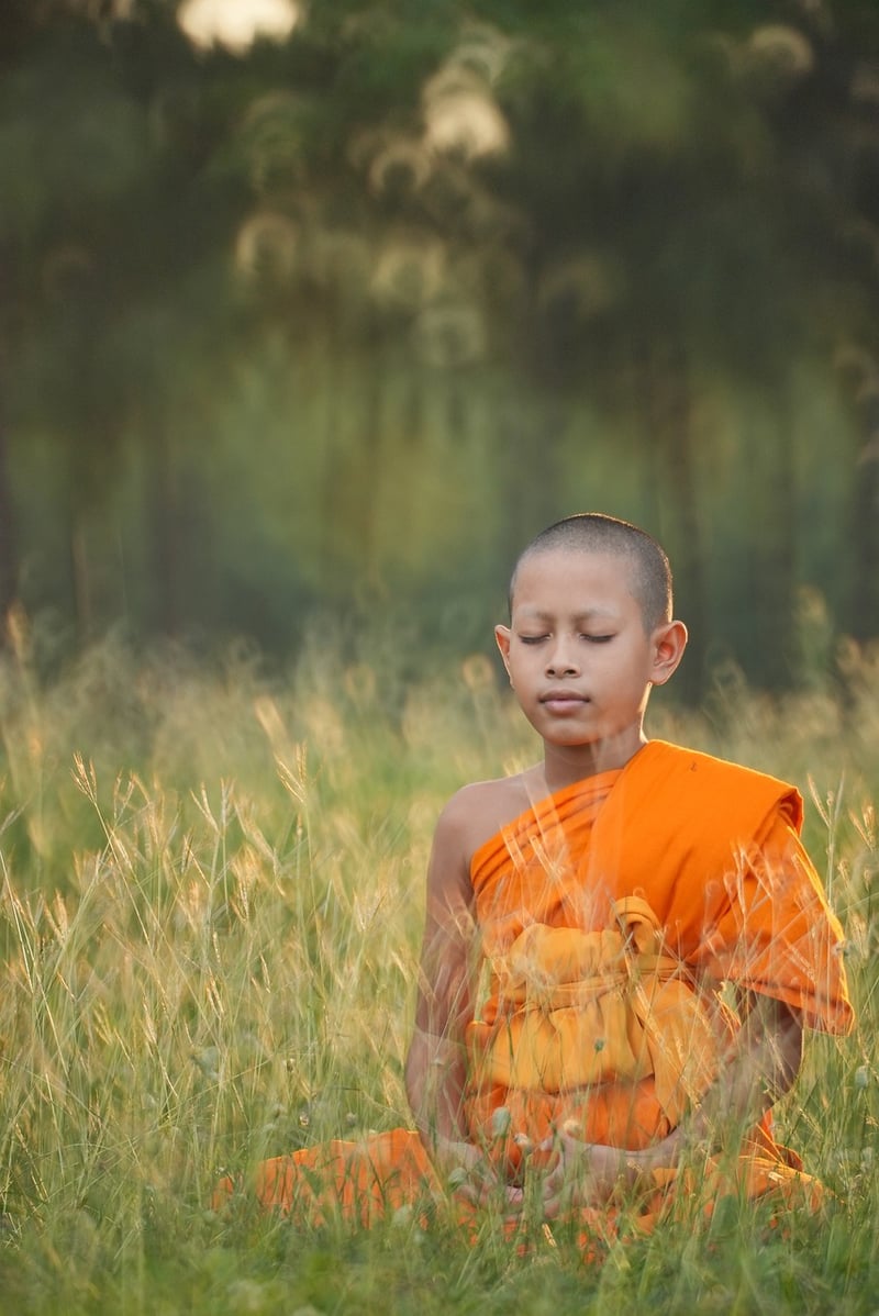 Nature Meditation