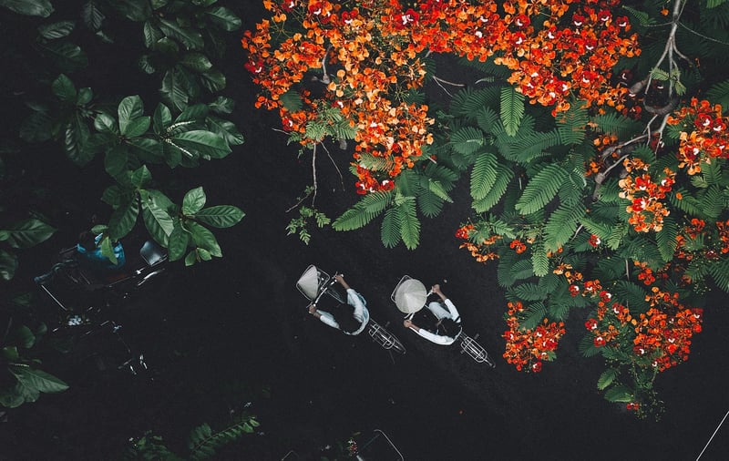 Amazon Rainforest