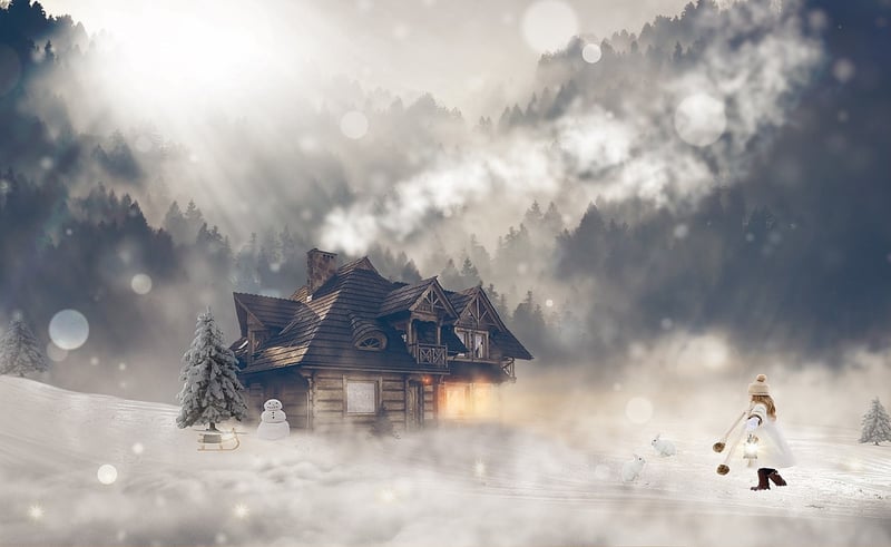 Tranquil Forest Retreat